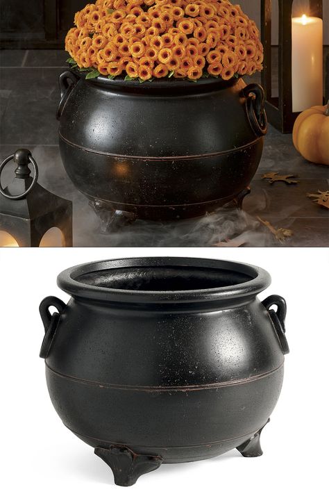 While it might look like a witch's black cauldron for brewing up bubbling concoctions and other assorted wicked witchcraft, it's actually just a spooky planter. 🧙🎃 Cauldron Planter, Black Cauldron, Spooky Black, The Black Cauldron, Flower Pot, Flower Pots, Witch, Wicked, Halloween