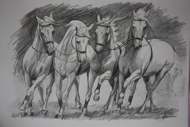 Horse Pencil Drawing Realistic, Running Horses Drawing, Horse Rearing Drawing, Horses Running Drawing, Horse Pencil Drawing, Running Horses Sketch, Eagle Drawing, Horse Galloping, Pencil Drawings Of Animals