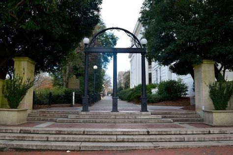 Uga Campus, Arch Photo, Georgia Bulldog, East Carolina University, Hip Raises, Hips Dips, College Aesthetic, Dream College, Grad Pics