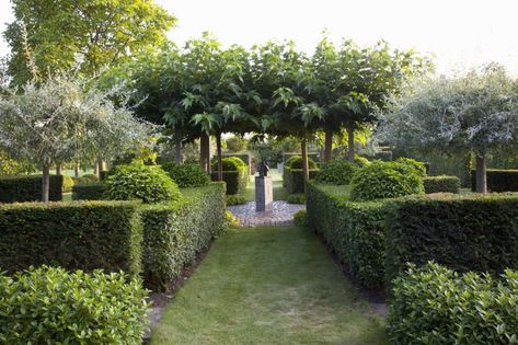 Modern Gardens | INSTANT HEDGES | landscape | inspiration | garden | design | border | hedge | evergreen | arbor | sculpture | formal Formal Garden Design, Evergreen Hedge, Backyard Garden Landscape, Pond Water Features, Formal Garden, Modern Garden Design, Soil Improvement, Formal Gardens, Garden Cottage