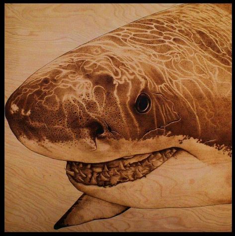 Wood Burning Art, Artwork Online, White Sharks, Great White Shark, Selling Artwork, Great White, Moving On, Art Auction, Pyrography