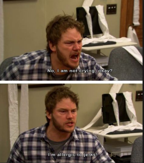 Chris Pratt will forever be the best human ever - Imgur Parks And Rec Quotes, Parks And Recs, Parks And Rec, Good Comebacks, Parks N Rec, Parks And Recreation, Bones Funny, Movie Quotes, Reaction Pictures