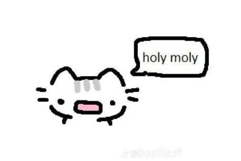 Shy Reaction Pic, Silly Cats Drawing, Silly Cat Drawing, Car Doodles, Kitty Doodles, Doodle Circle, Goofy Art, Doodle Cats, Art Emoji