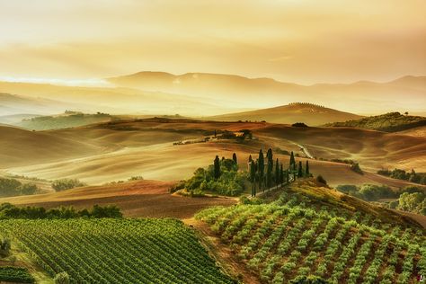 Landscape Studies, Yellow Landscape, Portofino Italy, Tuscan Landscaping, Toscana Italy, Under The Tuscan Sun, Italian Landscape, Golden Light, Tuscany Italy