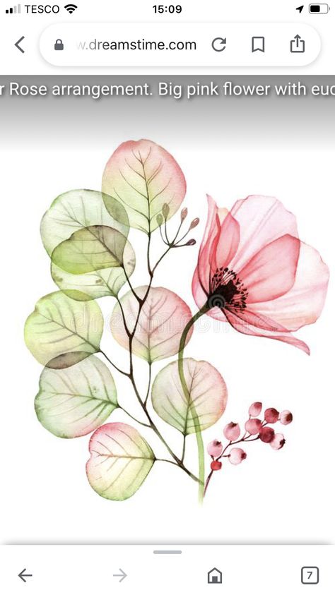 Transparent Art, Blue Watercolor Floral, Watercolor Flowers Tutorial, Transparent Flowers, Watercolor Greenery, Flowers Photography Wallpaper, Watercolor Flower Art, Watercolor Images, Watercolor Paintings Tutorials