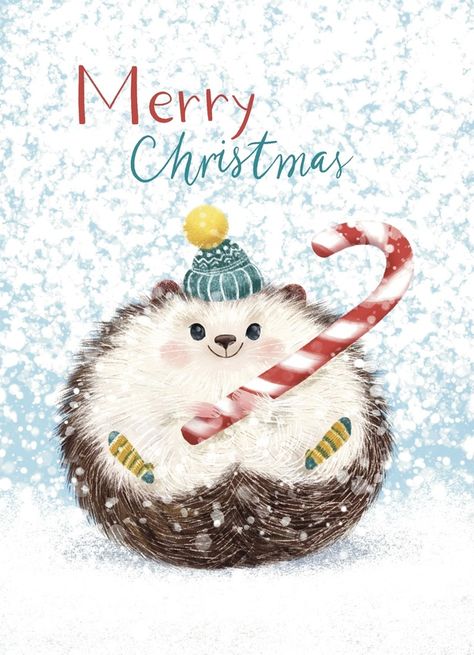 Winter Hedgehog, Christmas Hedgehog, Hedgehog Cute Illustration, Hedgehog Christmas Cards, Hedgehog Illustration Character Design, Hedgehog Christmas Illustration, Hedgehog Christmas, Hedgehog Drawing, Hedgehog Illustration