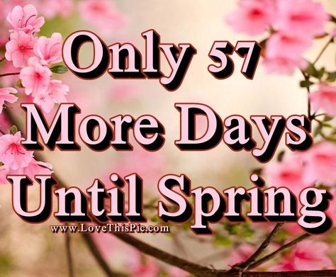 Only 57 More Days Until Spring spring quotes spring countdown Days Till Spring, Quotes Spring, Days Until Spring, Spring Quotes, Spring Pictures, Friendship Quotes, Morning Quotes, Good Morning Quotes, Image Search