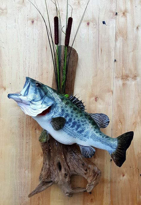 Bass Mounts Largemouth, Fish Mounts Ideas, Large Mouth Bass Pictures, Hunting Living Room Decor, Bass Mounts, Druid House, Hunting Living Room, Hunting Decor Living Room, Cricut Home Decor Projects