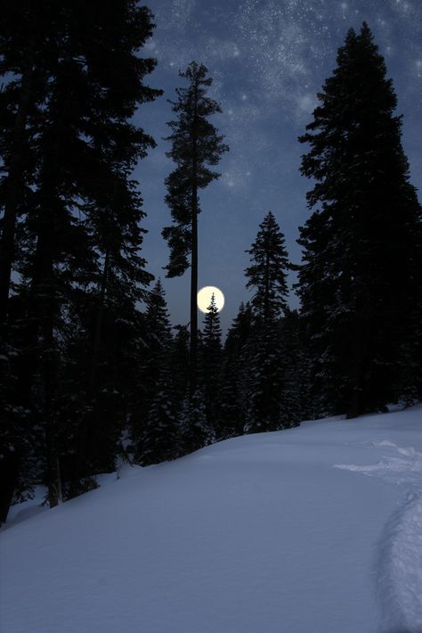 Winter Schnee, Winter Sky, Moon Pictures, Dark Winter, Winter Scenery, Winter Beauty, Snow Scenes, Beautiful Moon, Winter Pictures