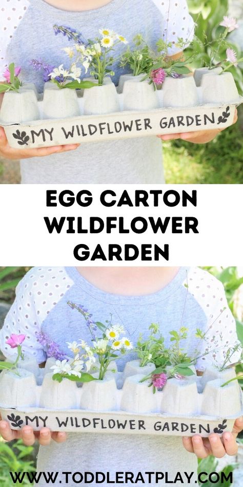 Do you save egg cartons? This Egg Carton Wildflower Garden is a fun recycled activity you have to try!   #eggcarton #wildflowers #outdoorkids #recycledcrafts Creative Playroom Ideas, Toddler Garden, Bracelets Rainbow, Recycling Activities, White Flower Arrangements, Loom Charms, Painted Pebbles, Creative Playground, Bows Ribbon