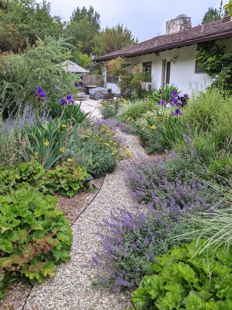 Las Lomas Drought Tolerant - Mediterranean - Landscape - Los Angeles - by Yard Maven | Houzz Los Angeles Backyard Landscaping, Landscaping Drought Tolerant California, Front Yard Mediterranean, Waterwise Landscaping California, Drought Tolerant English Garden, Northern California Backyard Landscaping, Socal Landscape Ideas, Mediterranean Landscape Front Yard, Cottage Garden Drought Tolerant