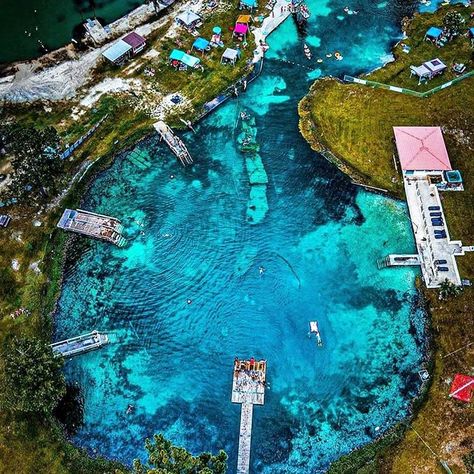 This Massive Dive Resort In Florida Screams Adventure Like No Other Springs In Florida, Prehistoric Fish, Underwater Caves, Dive Resort, Florida Springs, Cave Diving, Florida Resorts, Visit Florida, Swimming Holes