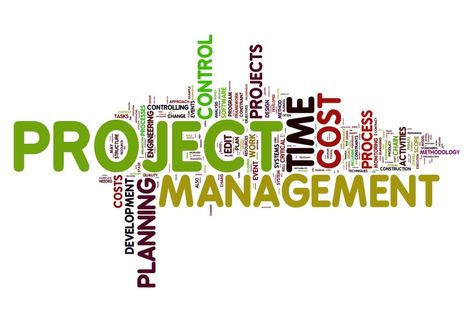 Project Management Project Management Logo, What Is Software, Project Risk Management, Software Project Management, Project Management Courses, Project Management Certification, Software Development Life Cycle, Management Logo, Project Management Professional