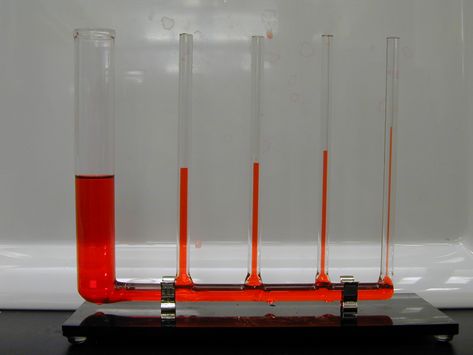 does water pressure increase with height? | ii) Capillary rise in tubes Logarithmic Spiral, Capillary Action, Earth Gravity, Surface Tension, Whirlpool Galaxy, Fibonacci Spiral, Bottom Of The Bottle, Science Experiment, Washing Liquid