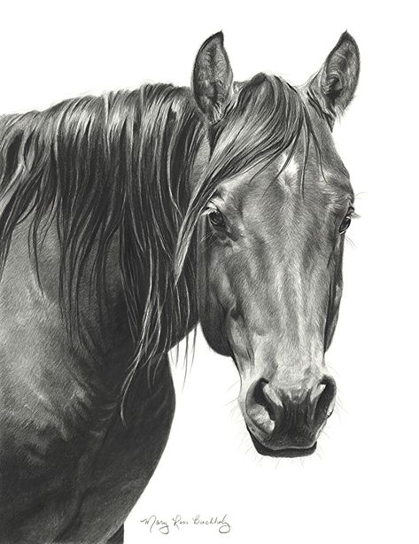 Equine Art Abstract, Equine Art Pencil Drawings, Equine Art Paintings, Horse Pencil Drawing, Horse Head Drawing, Equine Artwork, Scratchboard Art, Western Artwork, Horse Sketch