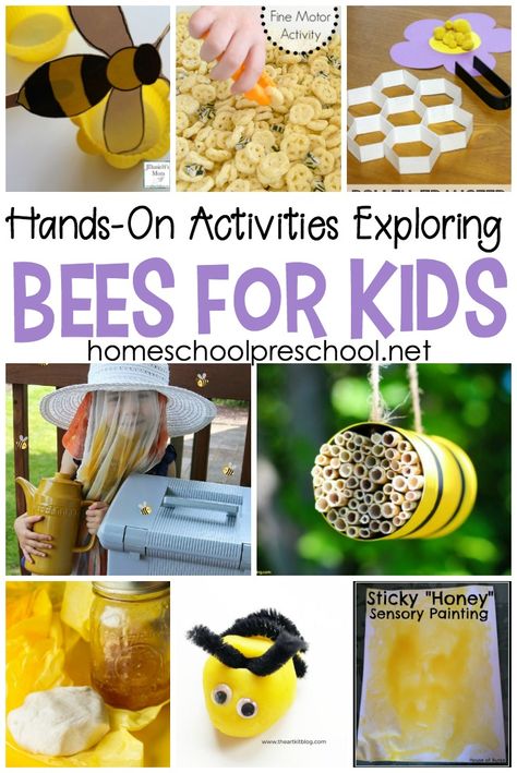 Engaging, hands-on activities exploring bees for kids! Kids will love learning about honey bees with these fun facts and hands-on activities. #homeschoolprek #beesforkids #preschoolbees #handsonpreschool Bee Stem Activities, Bee Lessons For Preschoolers, Sustainability Activities For Kids, Honeybee Activities, Honey Bee Crafts, Bee Sensory Bin, Bees Activities, Beehive Craft, Learning About Bees