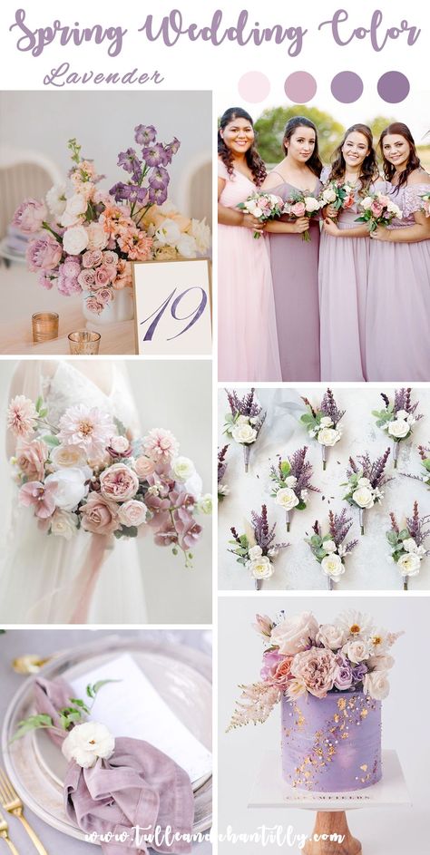 Elegant lavender bridesmaid dresses and wedding color decor for 2023 spring wedding color idea Lilac And Khaki Wedding, Lavender Blush And Sage Wedding, Wedding Color Scheme Lavender, Colors That Match With Lavender, Lavender And Champagne Wedding, Wedding Color Decor, Lilac And Pink Wedding, Purple And Sage Wedding, Dusty Lavender Bridesmaid Dresses