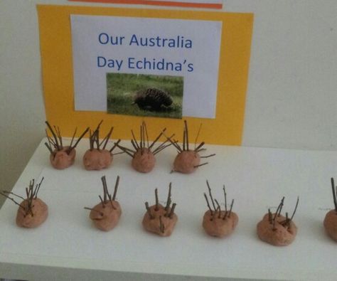 Australia day clay ecidhnas Australia Day Activities, Australia Day Craft Preschool, Australia Day Celebrations, Australia Crafts, Aboriginal Education, Indigenous Education, Family Day Care, Toddler Classroom, Childcare Activities