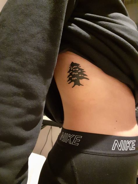 Lebanese Wallpaper, Lebanese Tattoo, Cedar Tree Tattoo, Lebanon Tattoo, Cold Tattoo, Aesthetic Places Background, Lebanese Cedar Tree, Authentic Hummus, Lebanon Tree