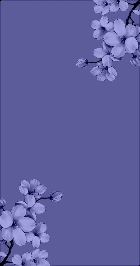 Iphone Wallpaper Violet, Simple Wallpaper, Purple Flowers Wallpaper, Cute Blue Wallpaper, Flowers Photography Wallpaper, Simple Phone Wallpapers, Cute Tumblr Wallpaper, Pretty Backgrounds, Purple Wallpaper Iphone