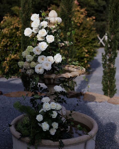 This sweet little moment bloomed in Wynmère's fountain ~ created by the team at @ivyandbleuevents & captured by @evernewstudio Come and see some beautiful floral installations on the 18th of August at the upcoming @weddingcollectivegoldcoast Winter Trail. We have some incredible surprises ready to reveal ✨️ Fountain Florals, Floral Installations, Come And See, The Team, Created By, The Incredibles, In This Moment, Floral, Quick Saves