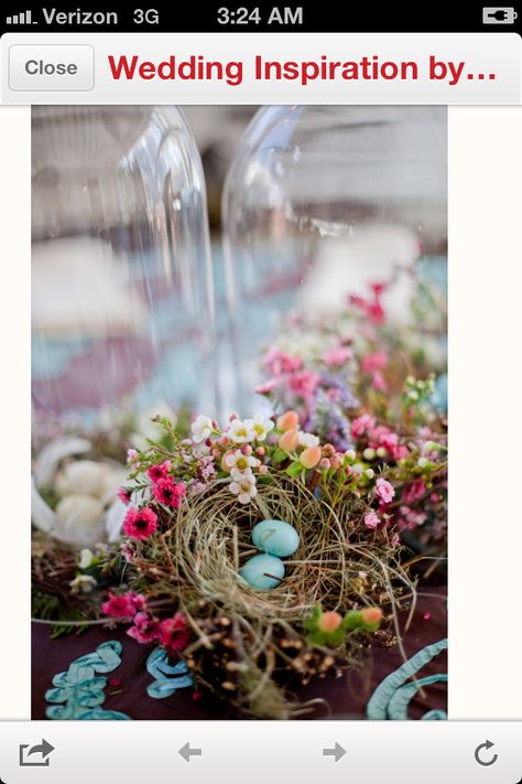 Centerpiece idea Bird Nest Centerpiece, Mops Centerpieces, Terrarium Wedding Favor, Easter Wedding Ideas, Woodland Wedding Centerpieces, Spring Wedding Centerpieces, Nest Ideas, Bird Themed Wedding, Centrepiece Ideas