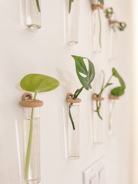 Diy Propagation Station, Diy Propagation, Indoor Climbing Plants, Wall Vase Decor, Diy Wall Planter, Plant In Glass, Indoor Plant Wall, Propagation Station, Hanging Plant Wall