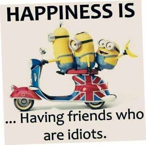 25 Funny Minions Memes You Can't Resist Laughing At | The Funny Beaver Minions Jokes, Minion Humour, Funny Minion Pictures, Funny Minion Memes, Minion Jokes, A Minion, Funny Disney Jokes, Funny School Jokes, Weird Quotes Funny