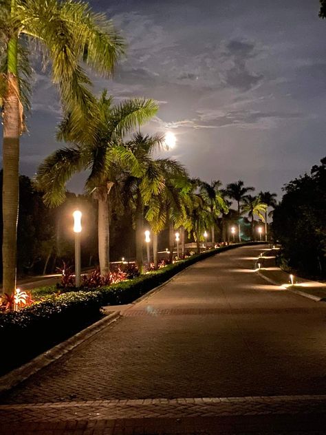 A beautiful moon tonight. So happy to be back at Bahia Principe! Mayan Riviera Mexico Mayan Riviera Mexico, Mayan Riviera, Beautiful Moon, Travel Ideas, So Happy, Country Roads, Moon, Road, Travel