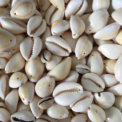 LB Beads on Instagram: “Cowrie shells...... let’s see what I come up with 🤔 #shells #cowrieshells #artjewellery #jewelrydesigner #jewellerymaker #jewellerylover…” Cowrie Shell Aesthetic, Cowrie Shell Jewelry, I Love Being Black, Cowry Shell, Graduation 2024, African Inspired Clothing, 2024 Design, Cowrie Shells, Afro Punk