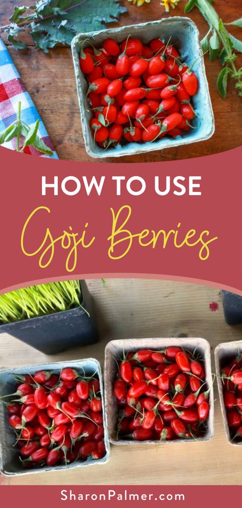 Recipes Using Goji Berries, Gogi Berry Recipes, Gogi Berry Benefits, Goji Berry Jam, Recipes With Goji Berries, Gogi Berries Recipes, Goji Berries Recipes, Goji Berries Plant, Goji Berry Plant