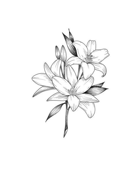 250+ Lily Tattoo Designs With Meanings (2020) Flower ideas & Symbols Lilly Flower Tattoo, Jasmine Tattoo, Casablanca Lily, Water Lily Tattoos, Lillies Tattoo, Lily Tattoo Design, Lilies Drawing, Lily Flower Tattoos, Beautiful Flower Tattoos