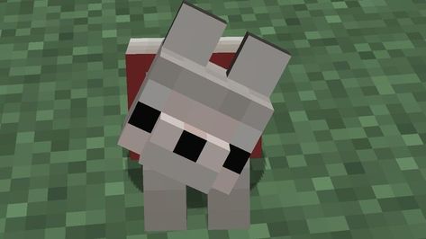 Cute Minecraft Pfp, Cute Minecraft Animals, Icons Minecraft, Minecraft Dog, Minecraft Pfp, Minecraft Animals, Minecraft Icon, Minecraft Dogs, Rumah Minecraft Sederhana