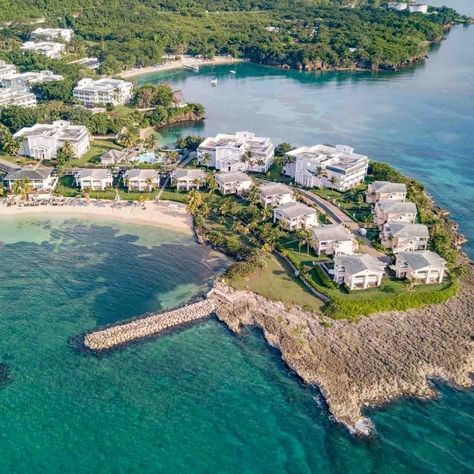 Just Booked! A family February break at Grand Palladium Lady Hamilton Resort, Jamaica. Lady Hamilton, Jamaica, A Family, Quick Saves