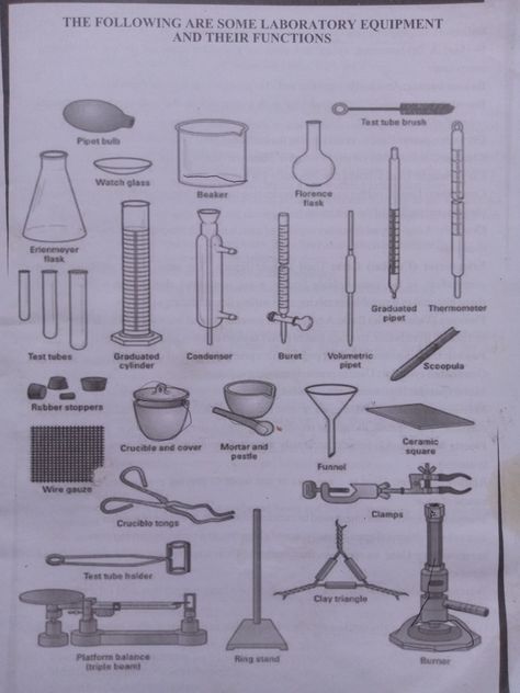 Lab Apparatus, Laboratory Apparatus, Chemistry Lab Equipment, Conical Flask, Graduated Cylinder, Bunsen Burner, Lab Instruments, Chemistry Lab, Chemistry Experiments