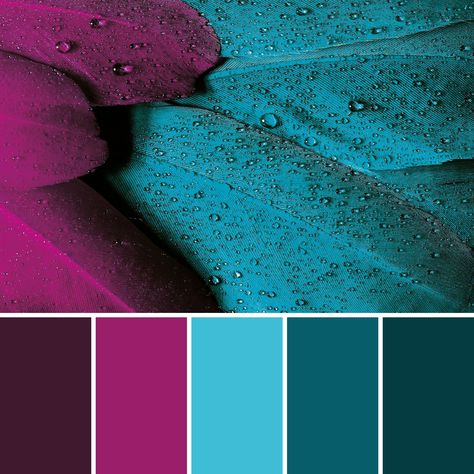 Jewel Tone Color Pallete, Cool Tone Bedroom Color Pallets, Jewel Tone Color Palette Interior, Fuschia Color Palette, Jewel Tone Interior Design, Jewel Tones Color Palette, Jewel Tone Color Scheme, Jewel Tone Color Palette, Color Mixing Chart