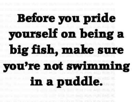 Big Fish little pond or small fish big lake... A Fish With Its Mouth Closed Quotes, Big Fish Quotes Movie, Big Fish Small Pond Quote, Give A Man A Fish Quote, Fish In The Sea Quotes, Fish Philosophy, Small Minds, Ocean Theme Classroom, 21st Quotes