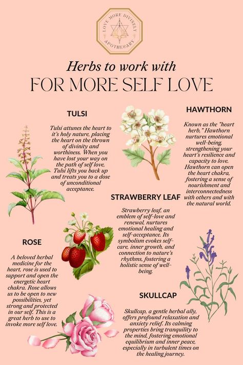 Embracing the Power Within - Self love is vital for a happy and healthy life. There are many herbs that can support you on your journey of self-love, but these five are some of my favorites to work with! Plants For Self Love, Self Love Herbs And Oils, Self Love Herbs And Spices, Self Love Herbs Witchcraft, Herbs For Self Love, Natural Apothecary, Herb Magic, Love Herbs, Tea Blends Recipes