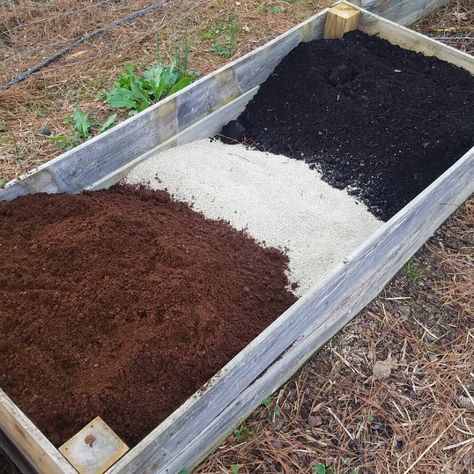 3 Raised Bed Soil Mixes Compared - The Beginner's Garden Raised Garden Bed Soil, Garden Soil Mix, Vegetable Garden Soil, Raised Vegetable Gardens, Vegetable Garden Raised Beds, Better Homes And Garden, Top Soil, Garden Pests, Garden Bed