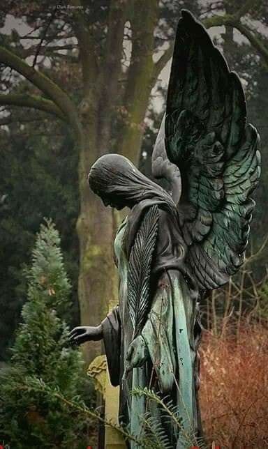 Cemetery Angels, Cemetery Statues, Istoria Artei, I Believe In Angels, Angel Statue, Angel Sculpture, Old Cemeteries, Cemetery Art, Ange Demon