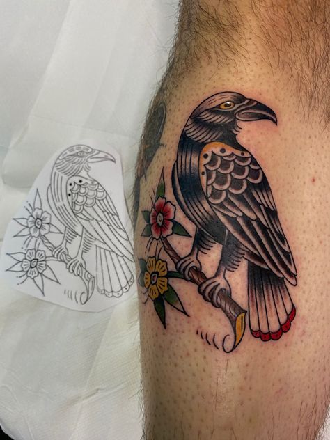 Old School Crow Tattoo, American Traditional Crow Tattoo, Old School Tattoo Bird, Raven Tattoo Traditional, Traditional Raven Tattoo, Raven Tattoos, Historical Tattoos, Trad Tattoos, Crow Tattoo Design