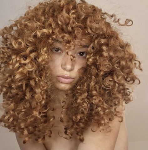 Light Color Curly Hair, Blonde Curly Hair Tan Skin, Ginger Gold Hair, Painted Curly Hair, Light Auburn Curly Hair, Ginger With Blonde Highlights Curly Hair, Hair Colors Curly Hair, Caramel Brown Curly Hair, Honey Blonde Hair Curly