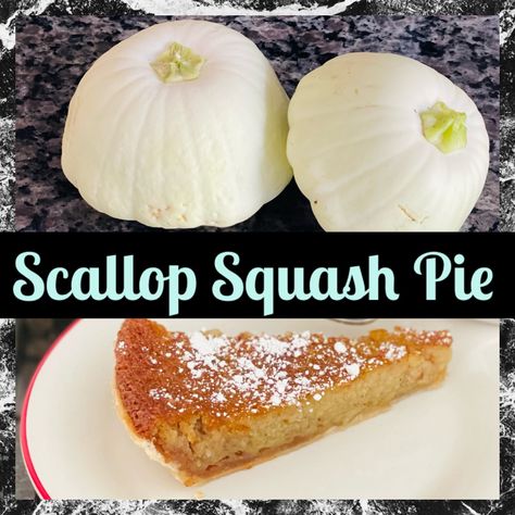 Scallop Squash Pie Yellow Bush Scallop Squash Recipe, Scallop Squash Recipes White, Early White Bush Scallop Squash Recipes, White Scallop Squash Recipes, Scalloped Squash Recipes, White Squash Recipes, White Patty Pan Squash Recipe, Scallop Squash Recipes, Patty Squash