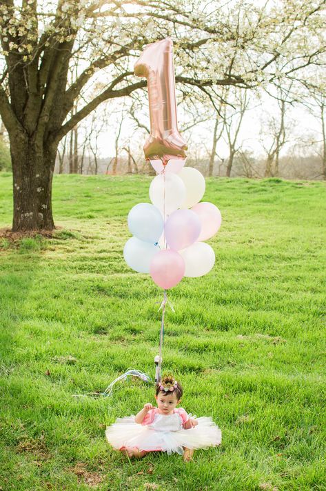 1st Birthday Photoshoot outdoors. Using pastel colors and rose gold number one balloon. Esther Activities, Alaska Photoshoot, 1st Birthday Photoshoot Outdoor, 50th Birthday Celebration Ideas, Unicorn Photoshoot, Birthday Photoshoot Ideas Boys, Birthday Photoshoot Ideas, Baby Birthday Photoshoot, 1st Birthday Pictures