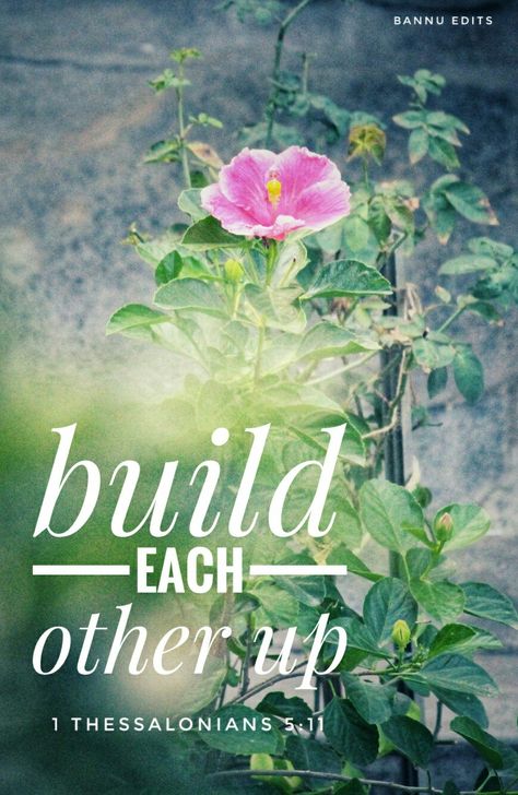 Encourage each other 1 Thessalonians 5 11, God Power, Encourage Each Other, New Life, Bible Verse, Verses, Bible Verses, Encouragement, Bible