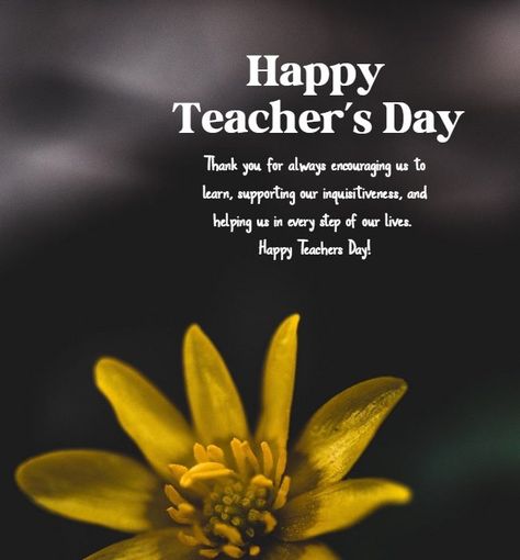 Wish For Teachers Day, Teacher Day Wishes Messages, Happy Teacher's Day Wishes Card, Teachers Day Message From Student, Happy Teachers Day Wishes Student, Happy Teachers Day Quotes Wishes, Wishes For Teachers Day, Teacher Day Wishes, Happy Teacher's Day Wishes Messages