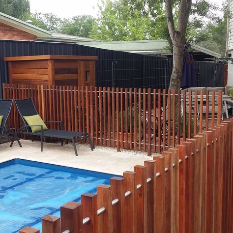 Wooden Fence Around Pool, Wooden Pool Fence, Batten Fencing, Mary Gilmore, Fence Around Pool, Wooden Pool, Backyard Dreams, Pool Fence, Backyard Inspiration