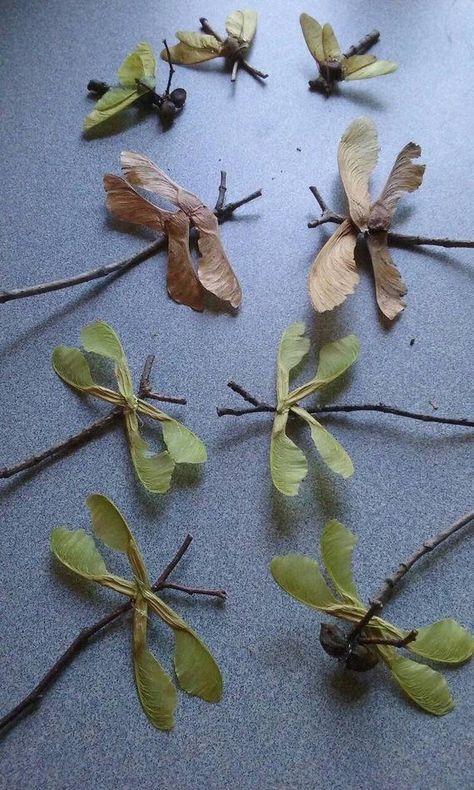 Tre Kunst, Stick Bug, Fairy Garden Ornaments, Twig Art, Branch Art, Pinterest Crafts, Deco Nature, Branch Decor, Autumn Crafts