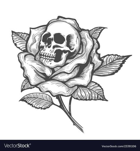 Tattoo With Skull, Skull And Rose Tattoo, Rose Tattoo Stencil, Flower Vector Illustration, Skull Rose Tattoos, Rose Drawing Tattoo, Rose Tattoos For Men, Flower Tattoo Drawings, Omerta Tattoo