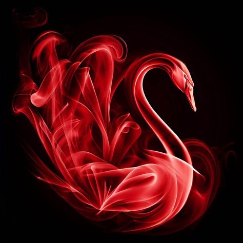 A Red Smokey Swan Digital Art Swan Digital Art, Red Swan, Alpha Cc, Swan Logo, 2024 Prom, Art Girl, Mood Board, Anime Art, Black And Red